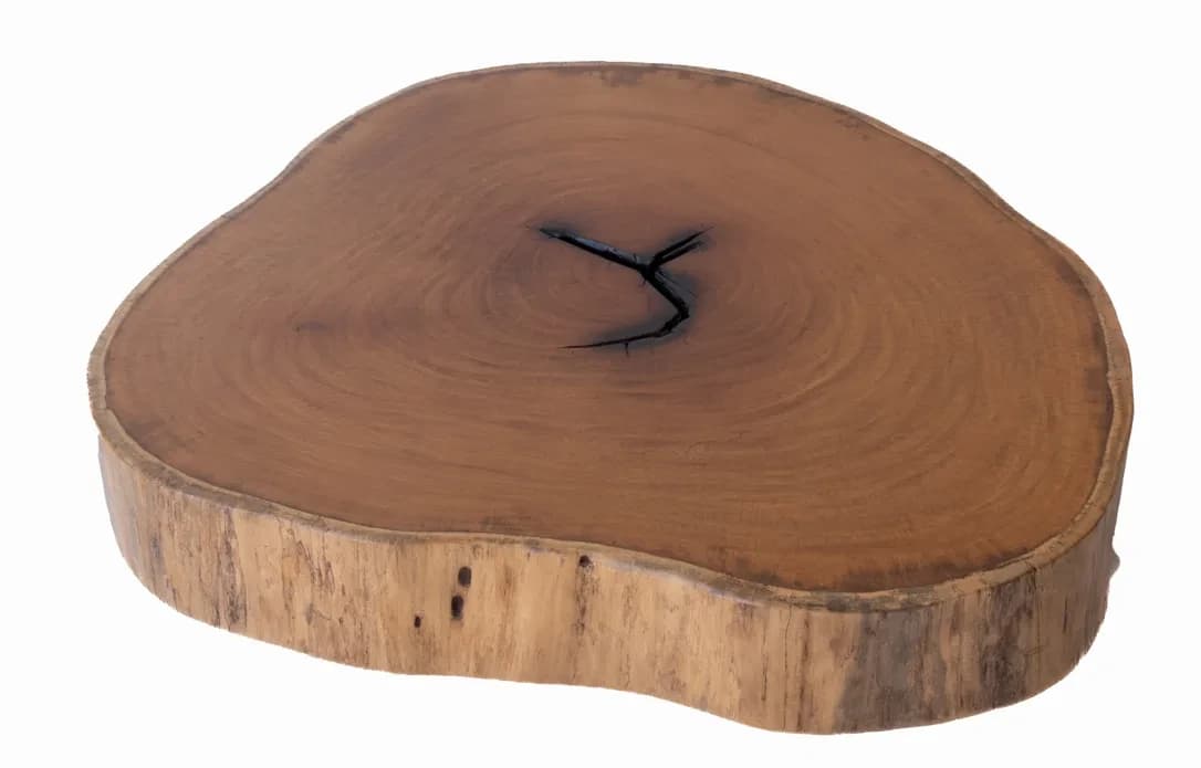 Garapa Round Live Edge Wood Slab — 100 cm diameter | #008