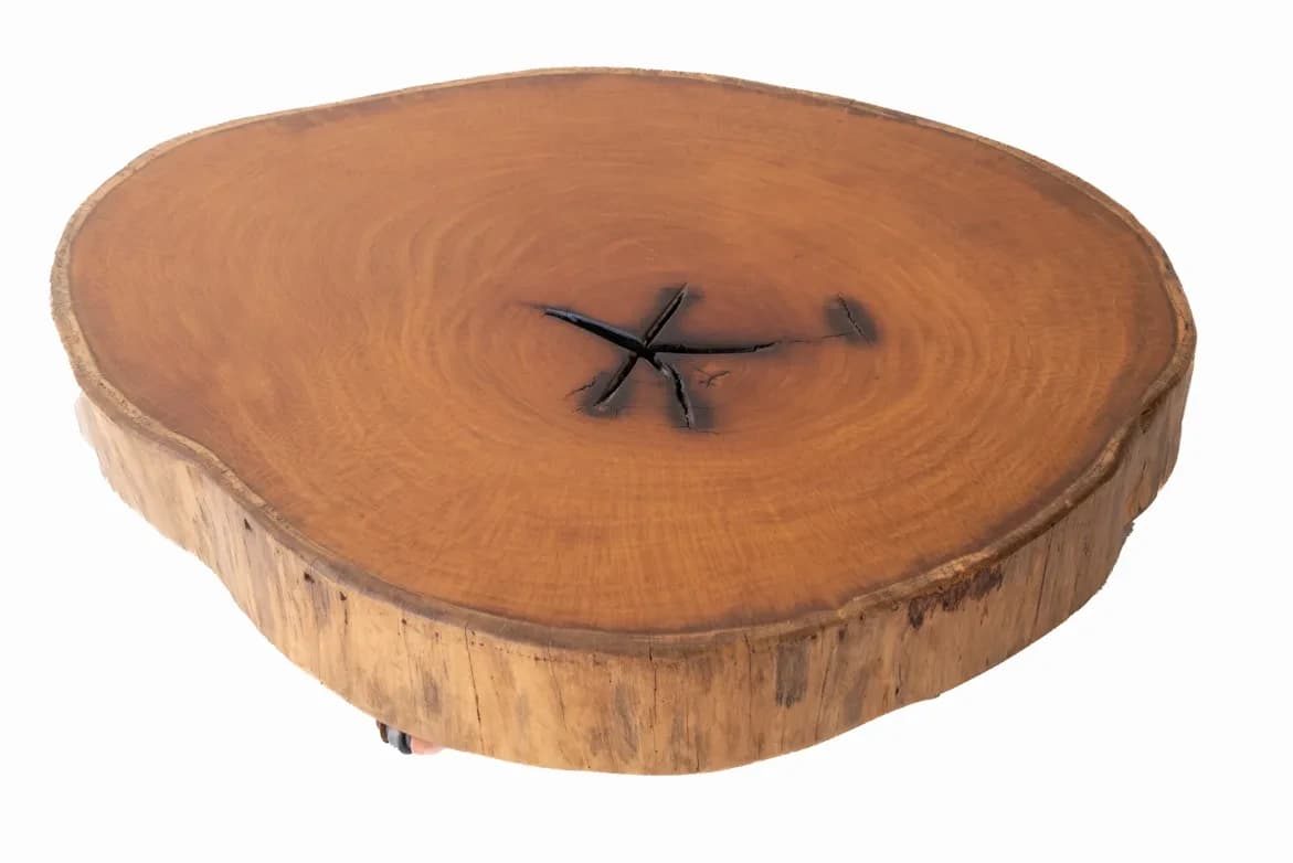 Garapa Round Live Edge Wood Slab — 95 cm diameter | #027
