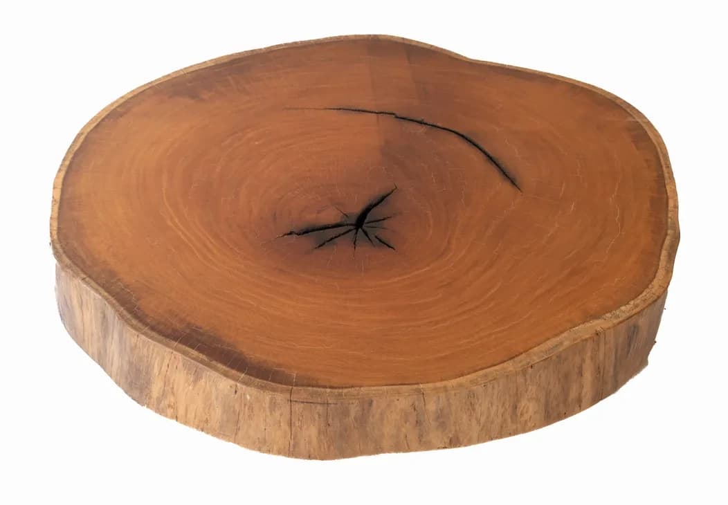 Garapa Round Live Edge Wood Slab — 90 cm diameter | #032