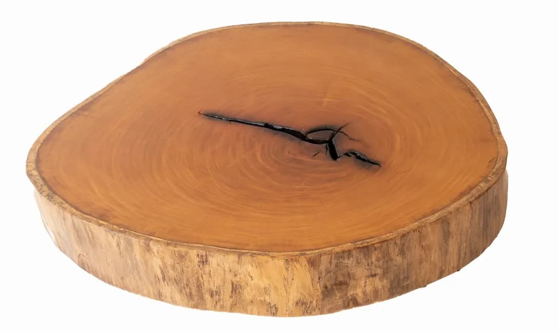 Garapa Round Live Edge Wood Slab — 95 cm diameter | #033