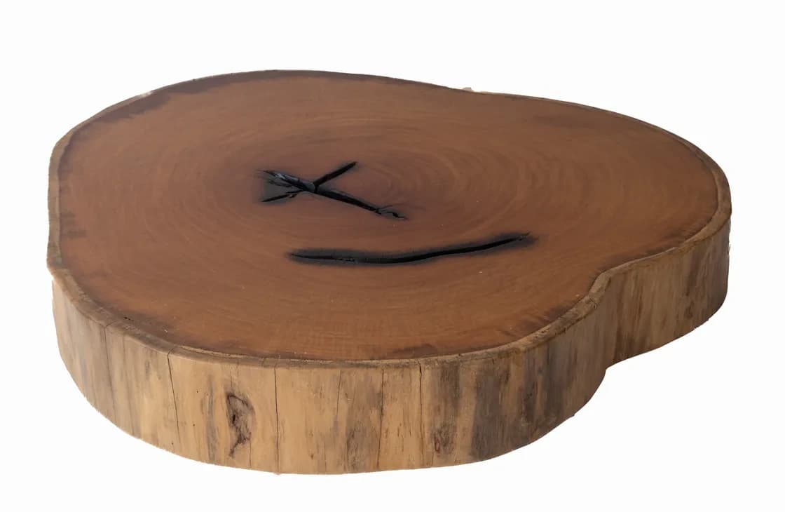 Garapa Round Live Edge Wood Slab — 95 cm diameter | #050